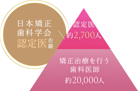 日本矯正 歯科学会 認定医 在籍 認定医 約2,700人 矯正治療を行う 歯科医師 約20,000人
